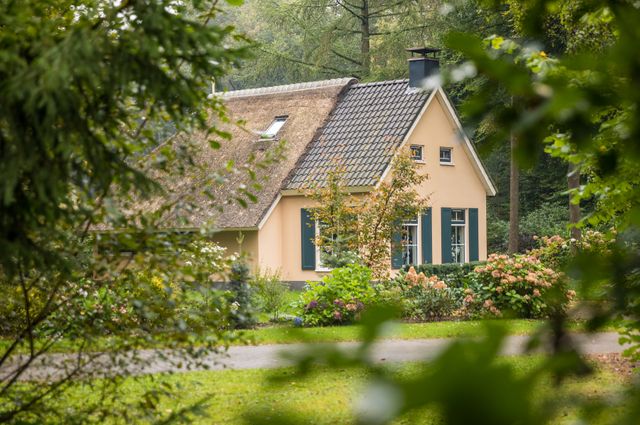 roompot het grote zand