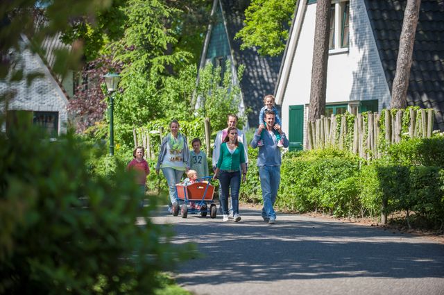 roompot de katjeskelder