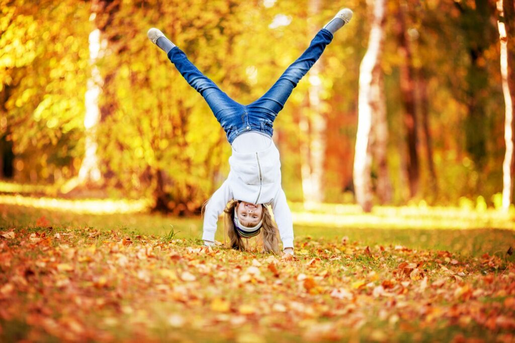 Topparken herfstvakantie